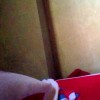 fauzia