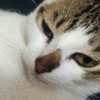 Richie
