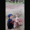 Ardi