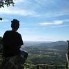Damar Agung Wicaksono