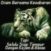 Nur
