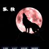 清朝兵