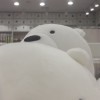 Kanta