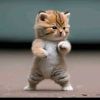 HePpy S'lalu SeDih