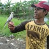 Agus Mujiono