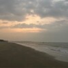 海绵美宝宝