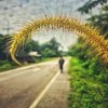 สู่แสงตะวัน สู่สันติภาพ