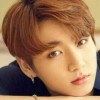 ARMY BLINKS