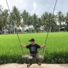 xf_fiqz246