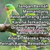 Dogam Shiputra Jmttigarunberjimbun