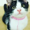 พลอย😊🐈