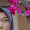 Kania regina