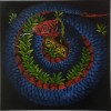 i'amJester'