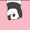 ♥Abiey🦄 