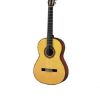 Erwin Fingerstyle