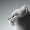 ㅤ