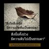 ขนม หวาน'น