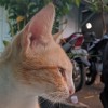 Rendy
