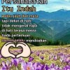 kak enon