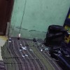 bapak 