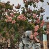Balqis