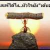 ป อ น