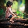 Ande Ande Lumut
