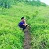 Budy Prasetyo