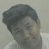 alel