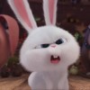🐰💗