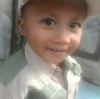 Zein