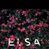Elsa Sylvester
