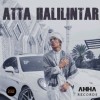 Atta Halilintar 