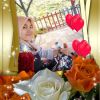Ana Hafidz