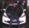 Ardi