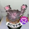 華英雄