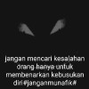 Stabit Qeis