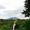 Fince Fiqah Fiqrah