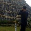 โตโน่