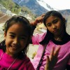vena