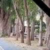 ธีภพ ชื่นชม