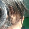 Picisan27