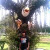 Muhammad Vicky Hadi Pratama