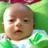 Gege