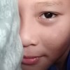 arvil