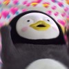 pengsoo