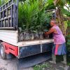 TamaShop Berkah