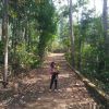Ahmad Rizal Nawawi