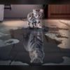 Silver Hunter