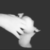 ○